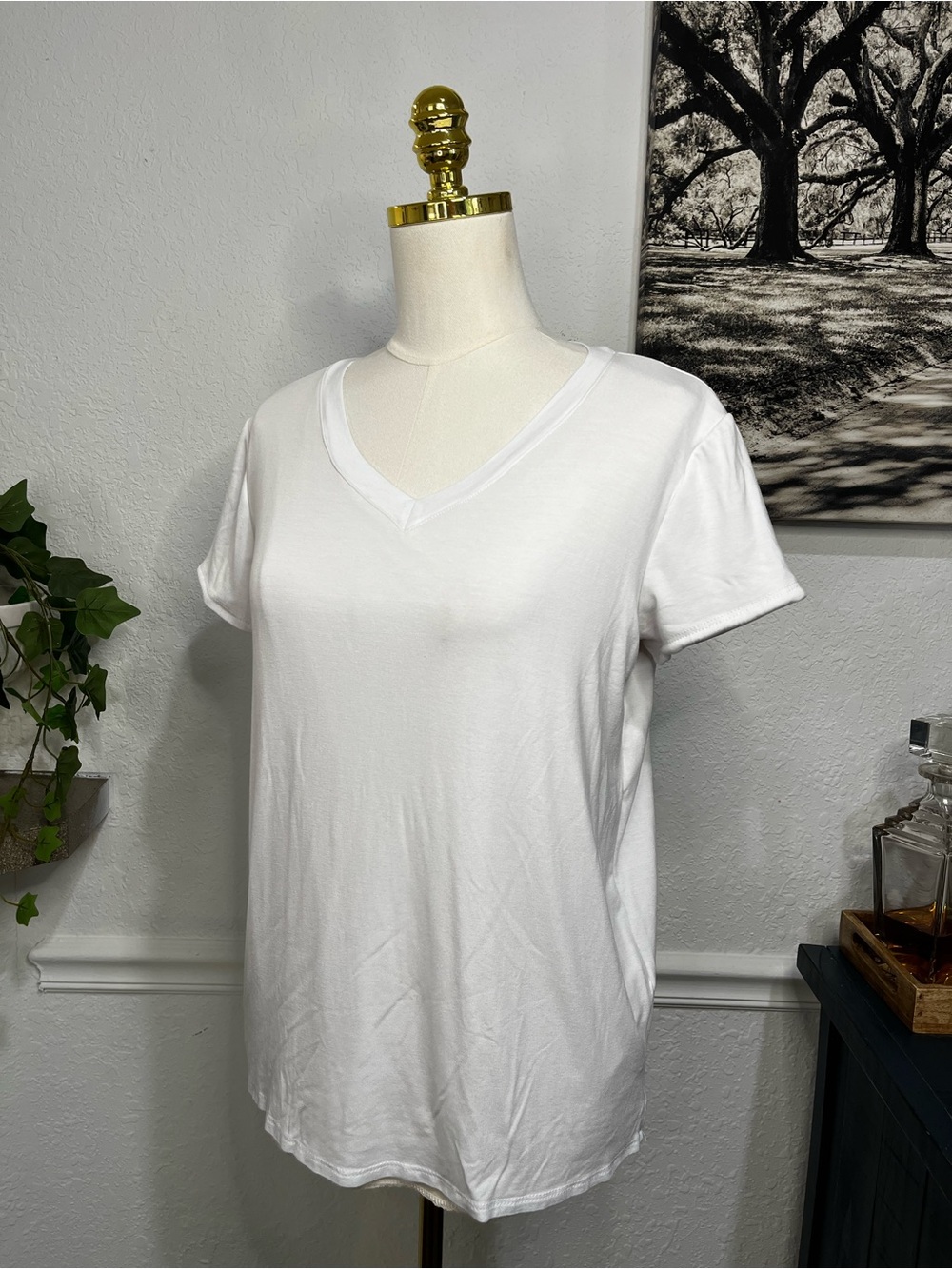 Lined Classic White V-Neck Short Sleeve Tee Medium Brigitte Brianna